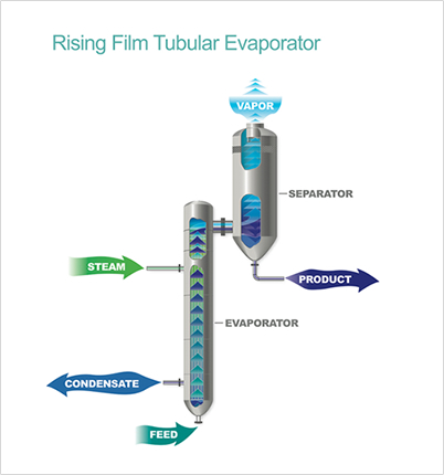 Rising Film Evaporator
